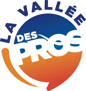 Logo La Vallée des Pros : cas business